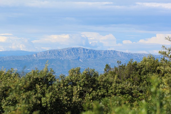 C19777 22-07-2014 Nečujam.jpg